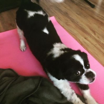 12920370_10100997761300179_271261012985312075_n